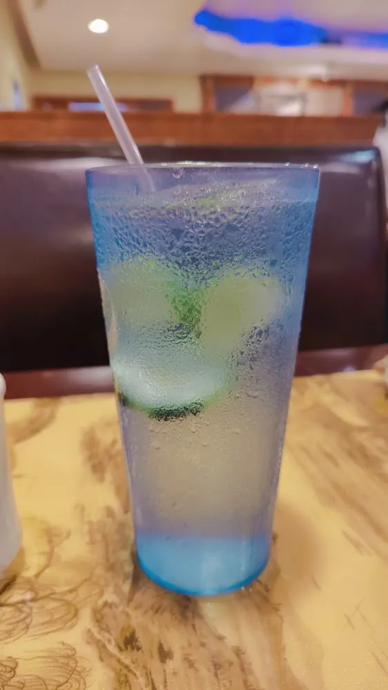 Ice Water with Lemon